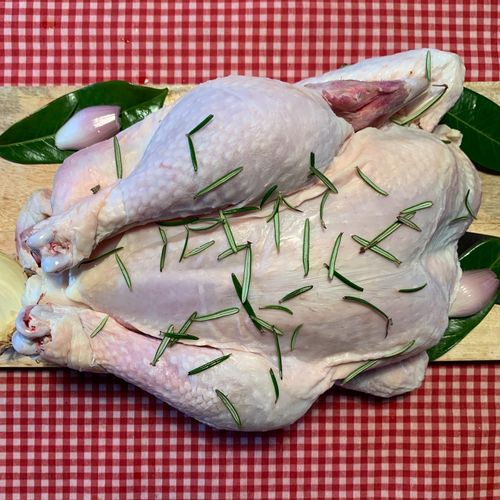 Photo de: Coq Fermier