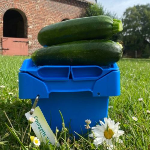 Photo de: Courgette Verte