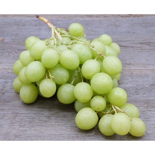 Photo de: Raisin Blanc sans pépins