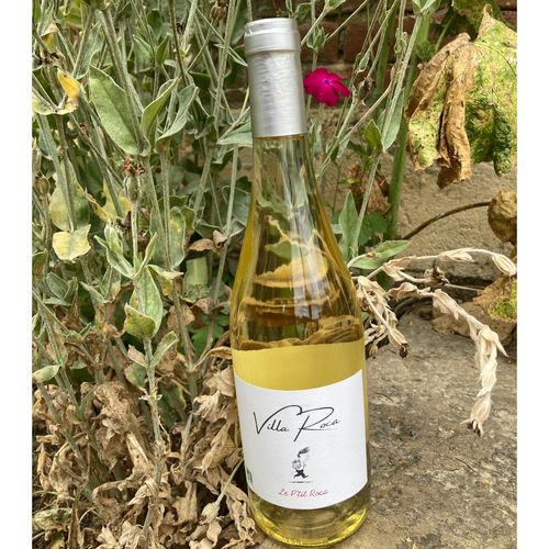 Photo de: Vin Le P'tit Roca Blanc 2023