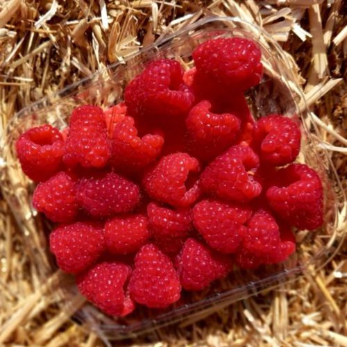 Photo de: Framboise