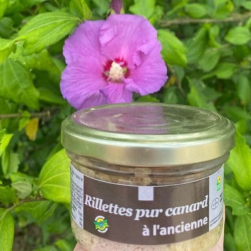 Photo de: Rillettes pur canard à l'ancienne