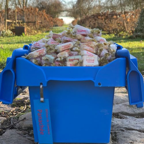 Photo de: Bêtise de Cambrai Panachée