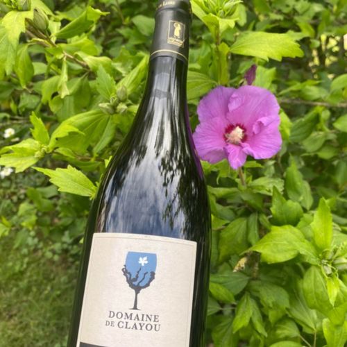 Photo de: Vin Cabernet d'Anjou 75cl