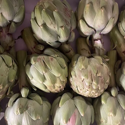 Photo de: Artichaut