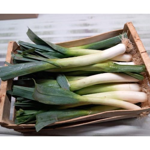 Photo de: Poireau Bio