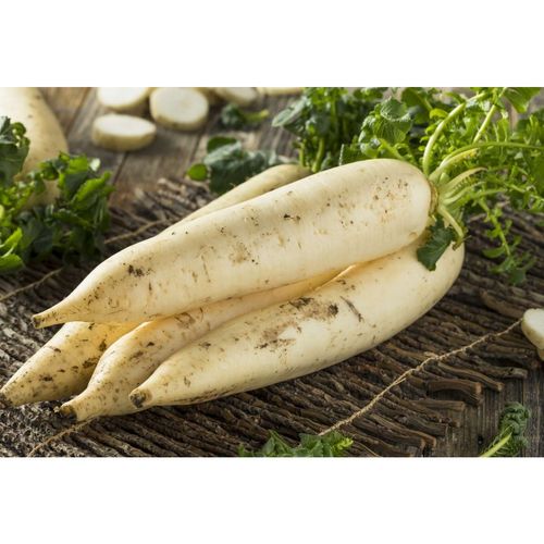 Photo de: Radis Asiatique