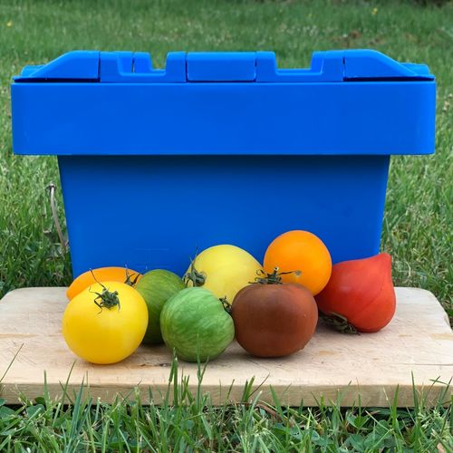 Photo de: Tomate Couleur