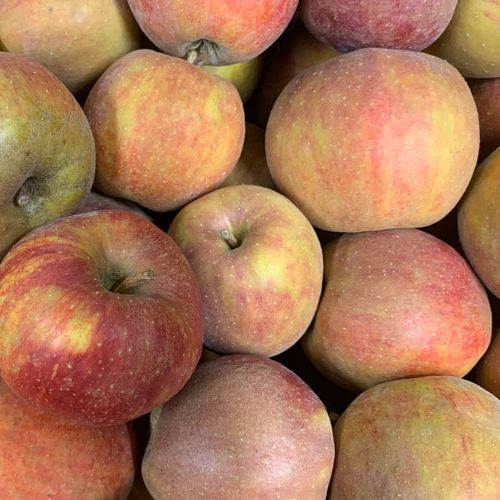 Photo de: Pomme à cuire