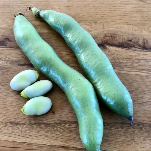 Photo de: Fèves fraiches biologiques