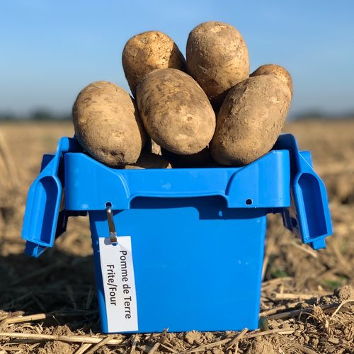 Photo de: Pomme de Terre Frite/Four