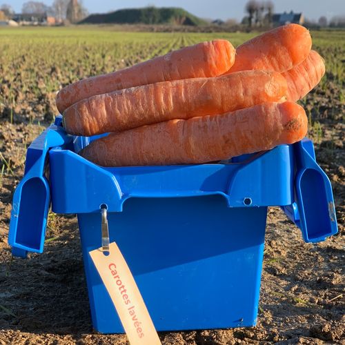 Photo de: Carotte Lavée Nouvelle 20-40