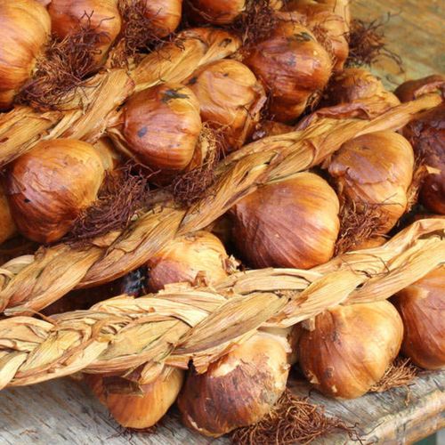 Photo de: Ail Fumé Tressé d'Arleux