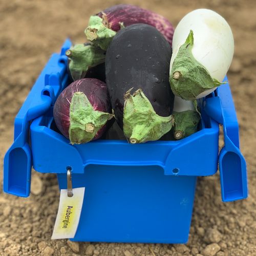 Photo de: Aubergine