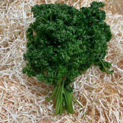 Photo de: Persil Botte