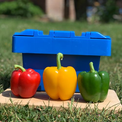 Photo de: Poivron d'ailleurs