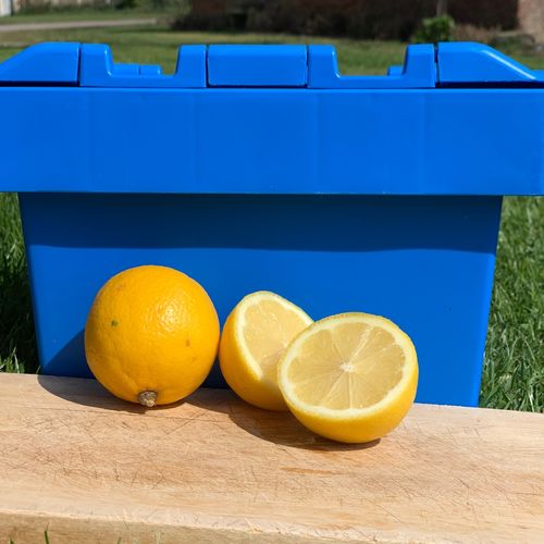 Photo de: Citron Jaune