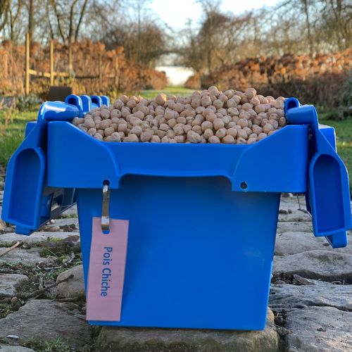 Photo de: Pois Chiche