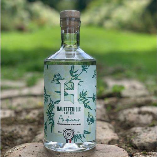 Photo de: Gin L'Audacieux