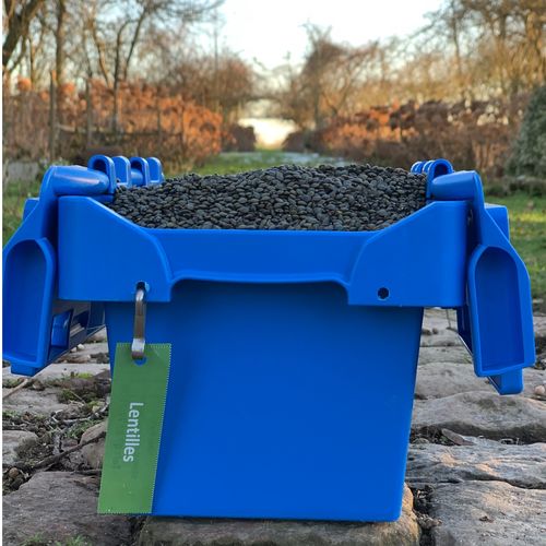 Photo de: Lentille Verte