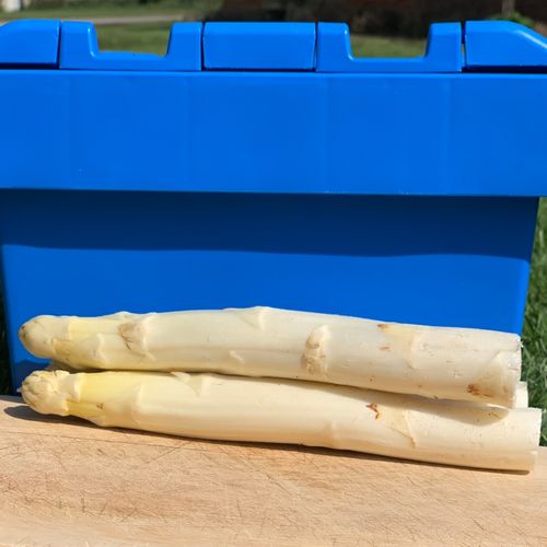 Photo de: Asperge d'Ailleurs