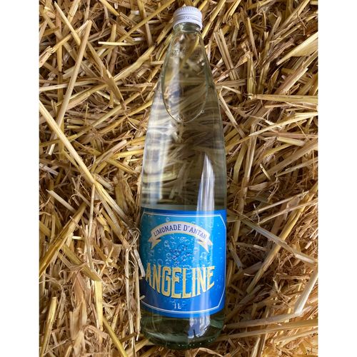 Photo de: Limonade 1L