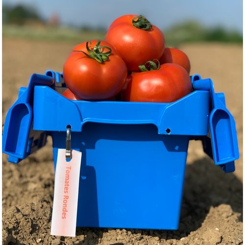 Photo de: Tomate Ronde