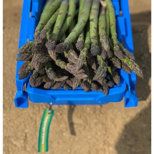 Photo de: Asperge Verte