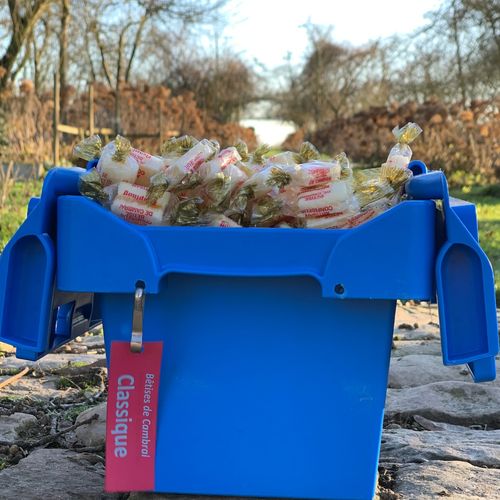 Photo de: Bêtise de Cambrai Traditionnelle