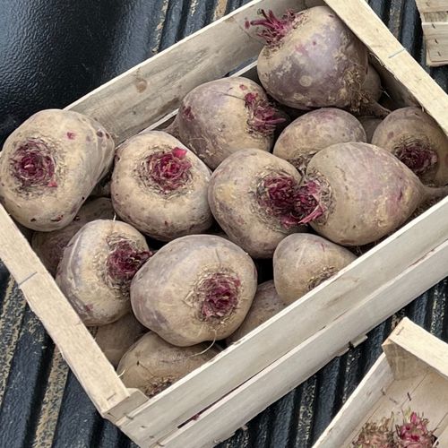 Photo de: Betterave Rouge crue