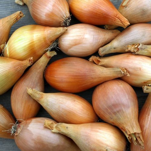 Photo de: Echalote cuisse de poulet