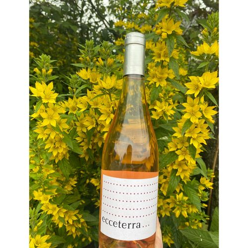 Photo de: Vin ECCETERRA Rosé 2023