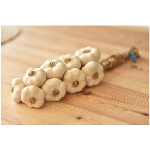 Photo de: Ail Blanc Tressé