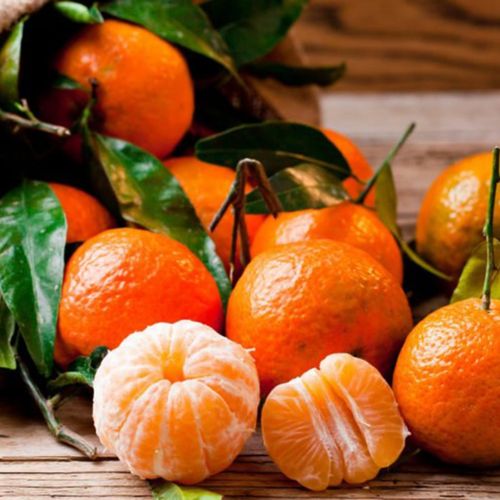 Photo de: Clémentine