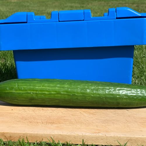 Photo de: Concombre Long d'Ailleurs