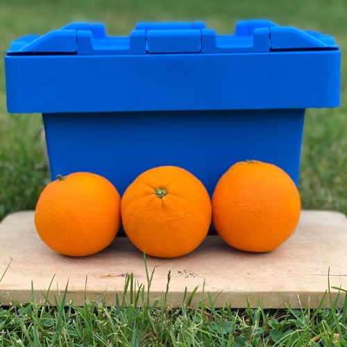 Photo de: Orange FRUIT