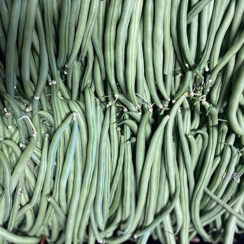 Photo de: Haricot-vert