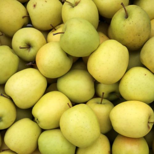 Photo de: Pomme Golden