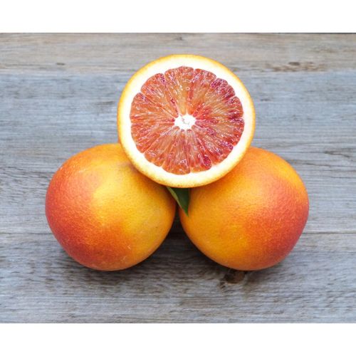 Photo de: Orange Sanguine