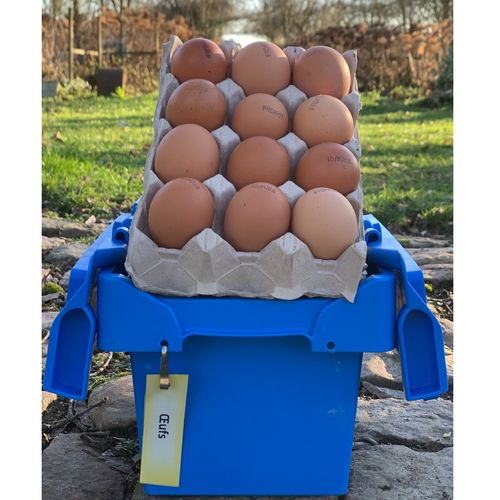 Photo de: Oeuf de poules élevées en plein air