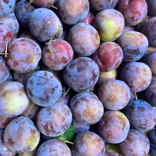 Photo de: Prune rouge