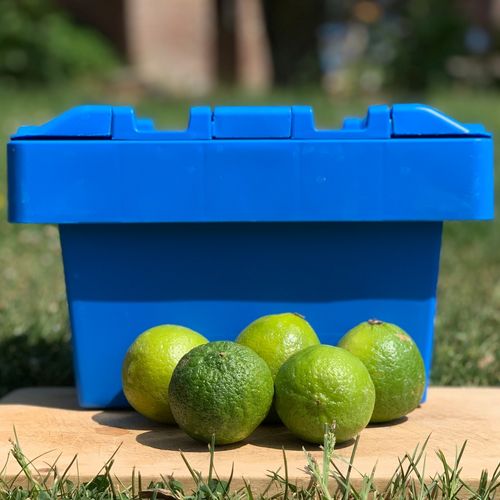 Photo de: Citron Vert