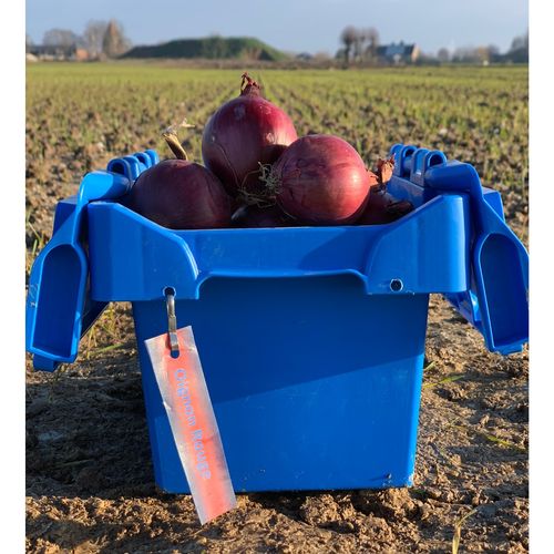 Photo de: Oignon Rouge