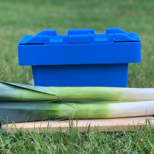 Photo de: Poireau d'ailleurs