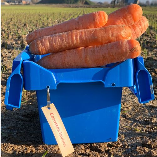 Photo de: Carotte Lavée