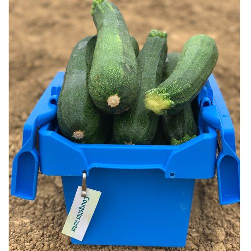 Photo de: Courgette Verte BIO
