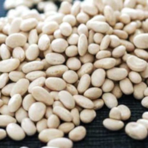 Photo de: Haricots Blanc