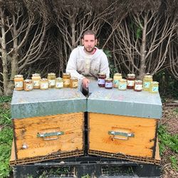 Image de Le Berger des Abeilles