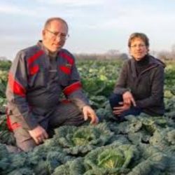 Image de Maraîchage de Vironchaux