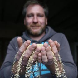 Image de Les Graines de Gus